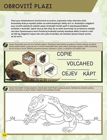 Náhled Velký sešit pro malé dobrodruhy