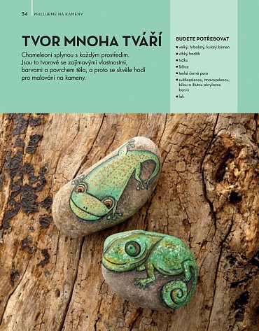 Náhled Malování zvířátek na kameny