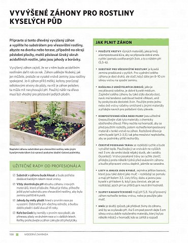 Náhled Moderní zahrada