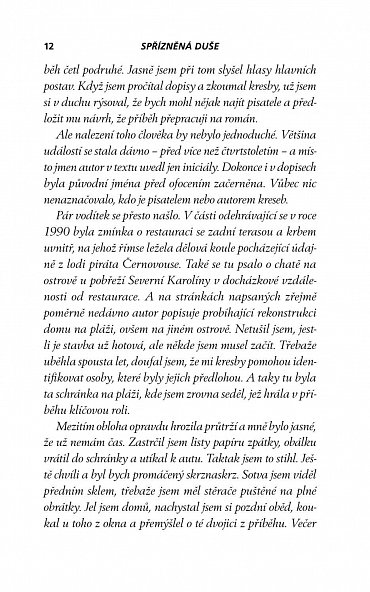 Náhled Spřízněná duše