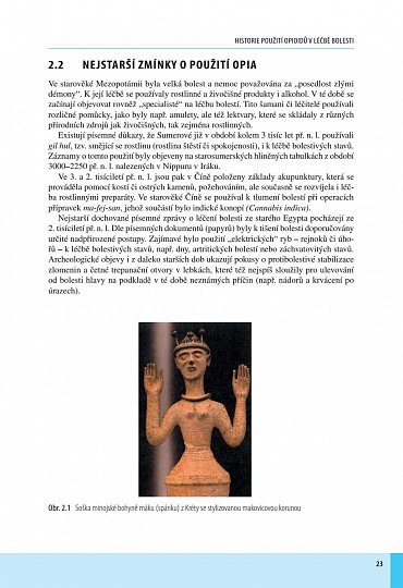 Náhled Opioidy - 2. přepracované a doplněné vydání