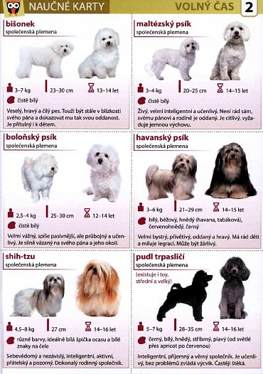 Náhled Nejoblíbenější plemena psů - Naučná karta