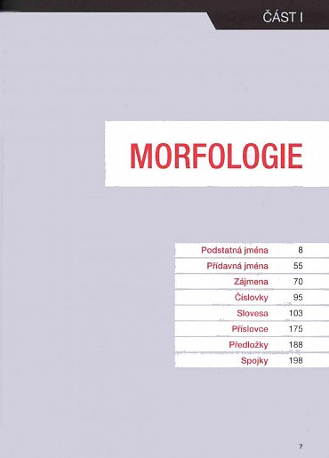 Náhled Anglická gramatika - Přehledně a komplexně