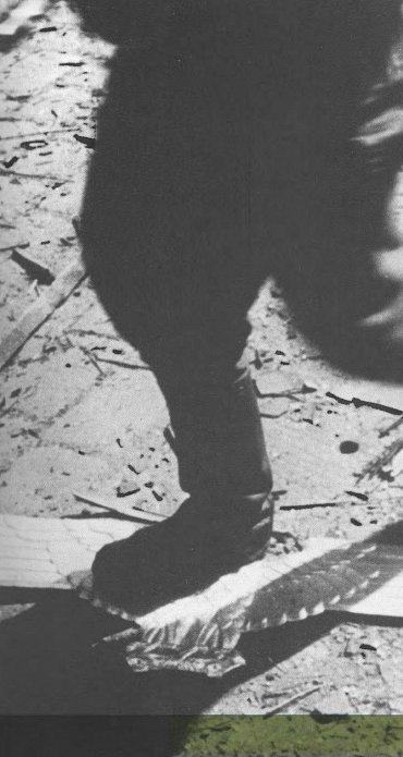 Náhled Brno účtující - Průvodce městem 1945–1946