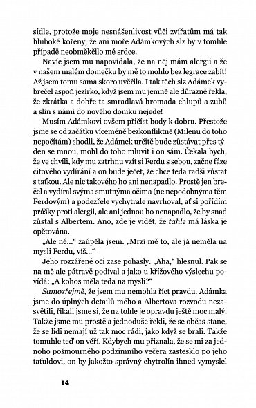 Náhled Falešný pohřeb