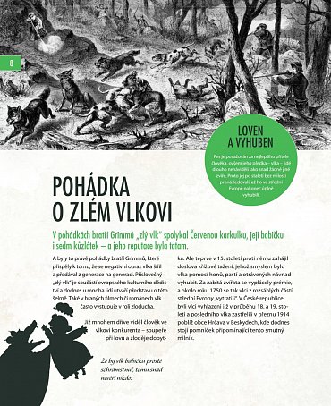 Náhled Vlci - Na toulkách s fotografem zvířat Axelem Gomillem