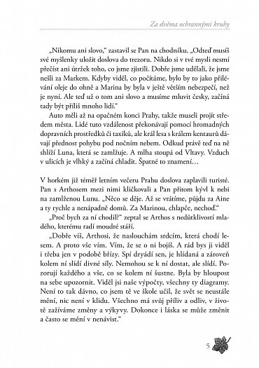 Náhled Rafaelova škola 5 - Vlasy dryád