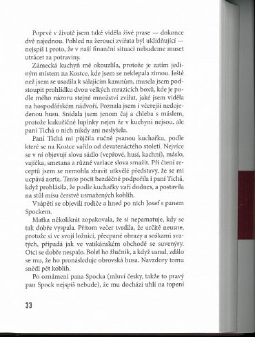 Náhled Poslední aristokratka