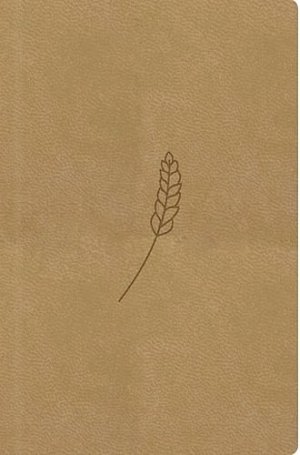 Bible, překlad 21. století (medová) - kapesní