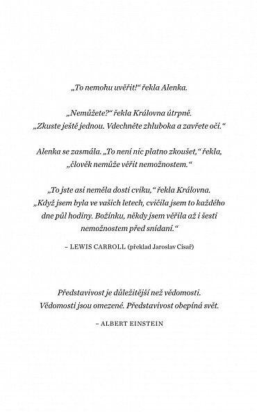 Náhled Ven z bludiště