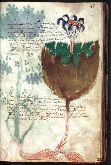 Náhled Voynichův rukopis - Nejzáhadnější kniha světa