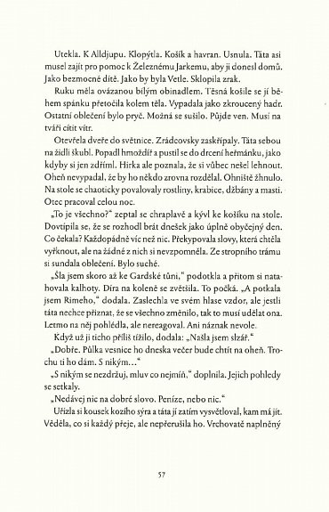 Náhled Havraní kruhy 1 - Ódinovo dítě