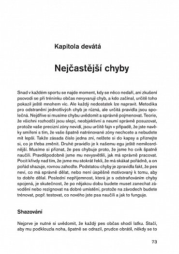 Náhled Agility pro pokročilé