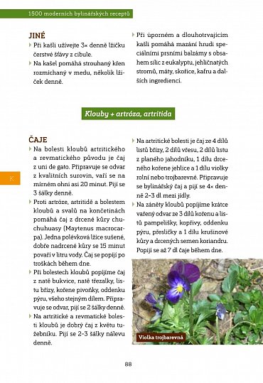 Náhled 1500 moderních bylinářských receptů