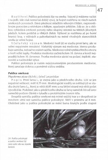 Náhled Medovice a včely