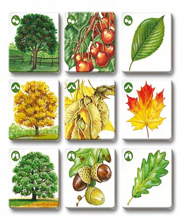 Náhled Pexetrio - Stromy