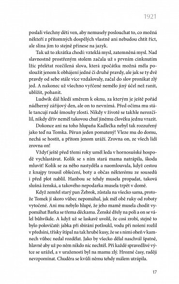 Náhled Šikmý kostel 2 - Románová kronika ztraceného města, léta 1921-1945