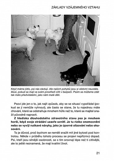 Náhled Jak porozumět řeči psího těla aneb Naučte se komunikovat jako pes