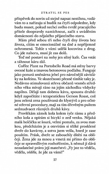 Náhled Ztratil se pes