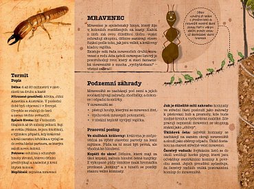 Náhled Zvířecí architekti