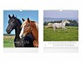 Horses 2026 - nástěnný kalendář