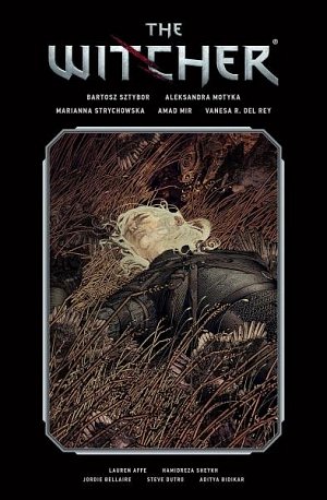 The Witcher Volume 2