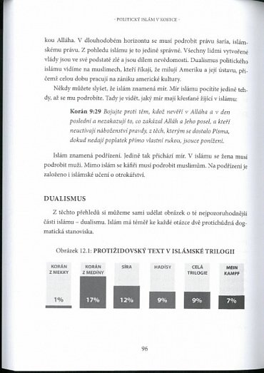 Náhled Politický islám