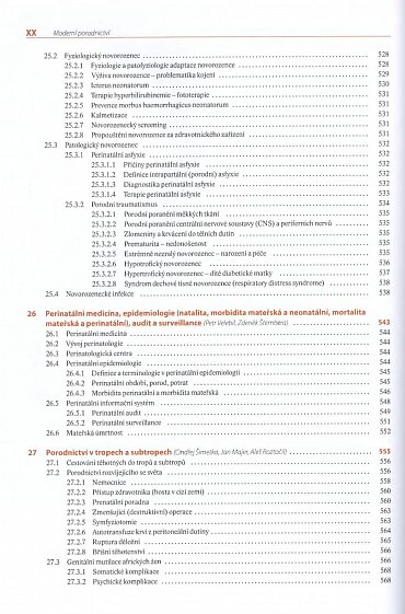 Náhled Moderní porodnictví