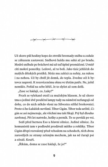 Náhled Prameny Vltavy, 1.  vydání