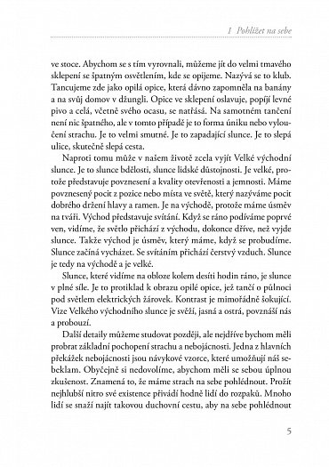 Náhled Usmívej se na strach - Probuzení skutečného srdce statečnosti