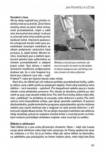 Náhled Pozitivní metody výchovy psa