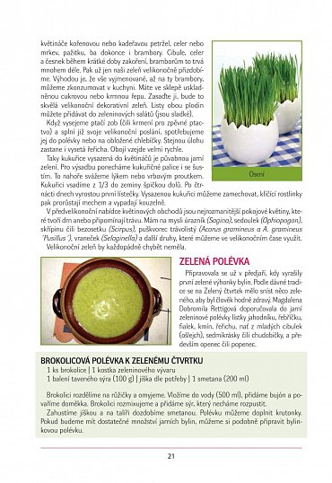 Náhled České Velikonoce - zvyky a návody