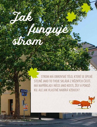 Náhled Slyšíš, jak mluví stromy? - Co všechno můžeš objevit v lese