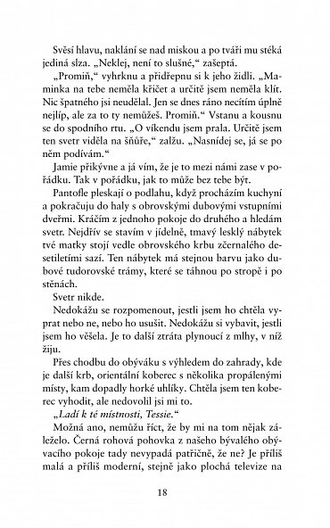 Náhled Dokonalá zrada