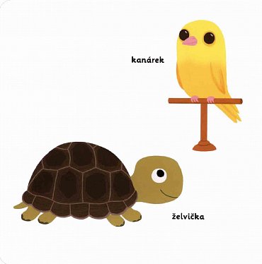 Náhled MiniPEDIE Objevujeme svět! Domácí mazl