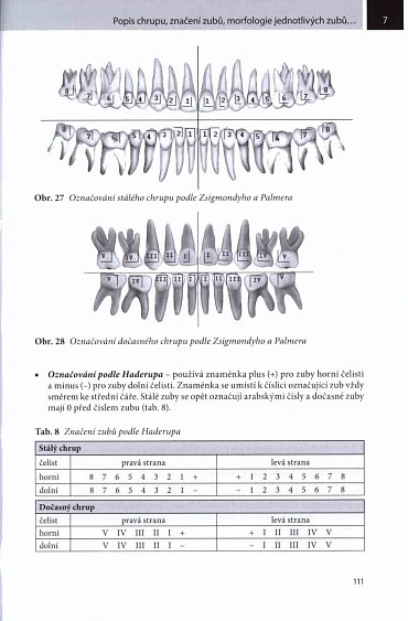Náhled Stomatologie I pro SZŠ a VOŠ
