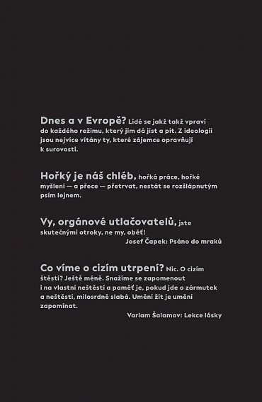 Náhled Do posledních sil - Tři dokumentární povídky z konce protektorátu