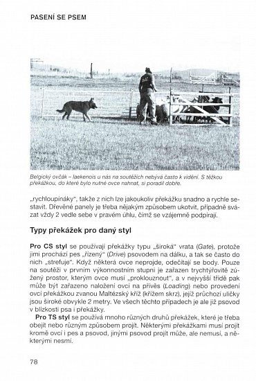 Náhled Pasení se psem - Sport, práce i zábava (nejen) pro každou borderku