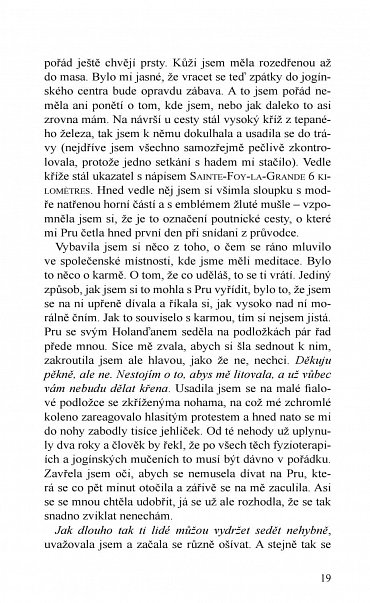 Náhled Kam včely chodí spát