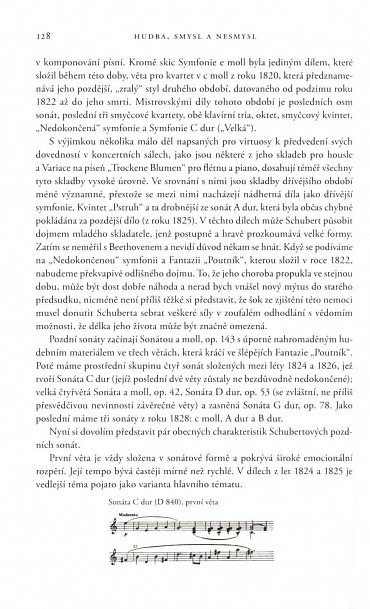 Náhled Hudba, smysl a nesmysl