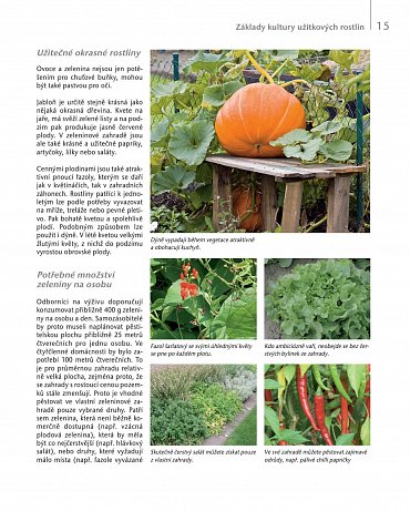 Náhled Užitková zahrada