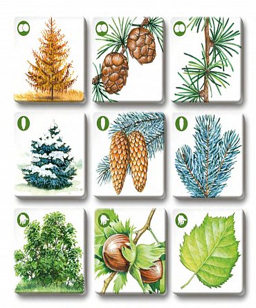 Náhled Pexetrio - Stromy