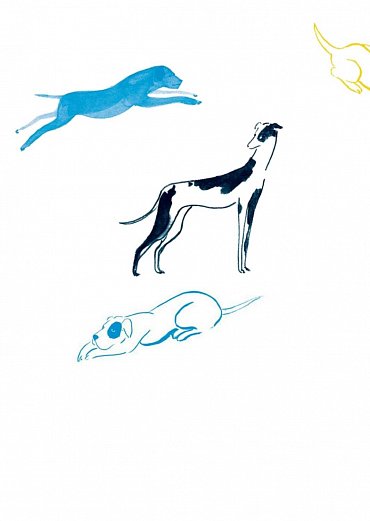 Náhled Kdo zabil Snížka?