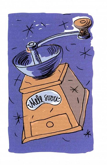 Náhled Jako husa do flašky