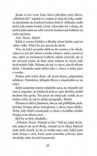 Náhled Dokonalá zrada