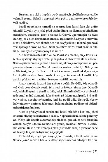 Náhled Velká kniha slavných dobrodružných příběhů