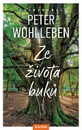 Ze života buků - Strom vypráví svůj úžasný příběh