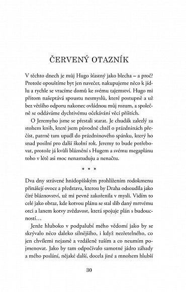 Náhled Divoké léto Jáchyma Šebka