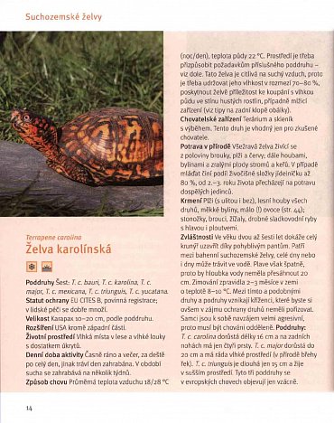 Náhled Suchozemské želvy - Svědkové pravěku v domácím teráriu