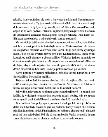 Náhled Na chalupě s moderním fotrem